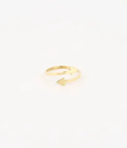 Bague Robin (Acier Doré)