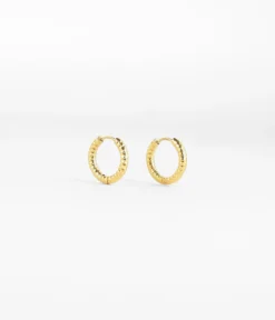 Boucles D'oreilles Hydra (Acier Doré)